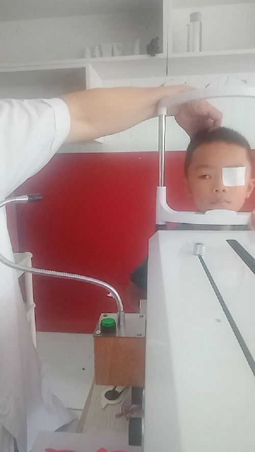 老花鏡 什么老花鏡 廈門(mén)琴島眼鏡 誠(chéng)信商家 高清圖片 高清大圖